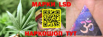 гашик Железногорск