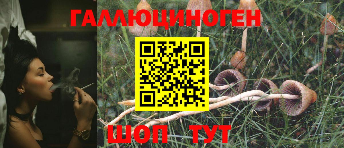 Воркута  Галлюциногенные грибы GOLDEN TEACHER  Вход с VPN 